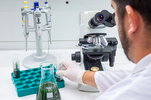 Spirulina Brands to Avoid: 7 Red Flags Before You Buy