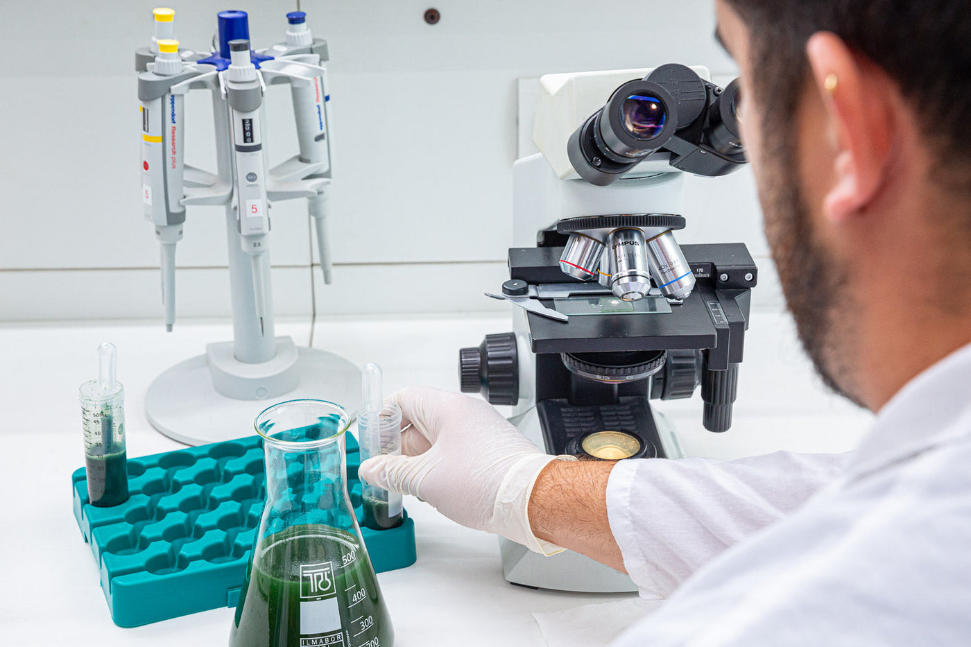 Person holding fresh spirulina, illustrating spirulina and heavy metal detox quality testing