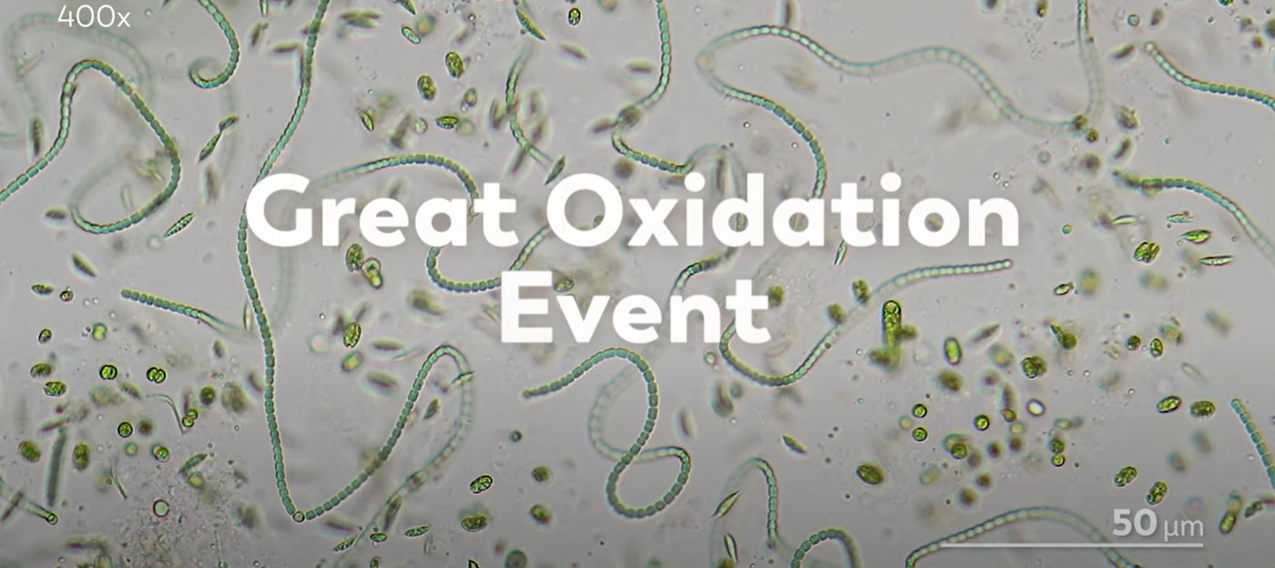 THE GREAT OXIDATION EVENT