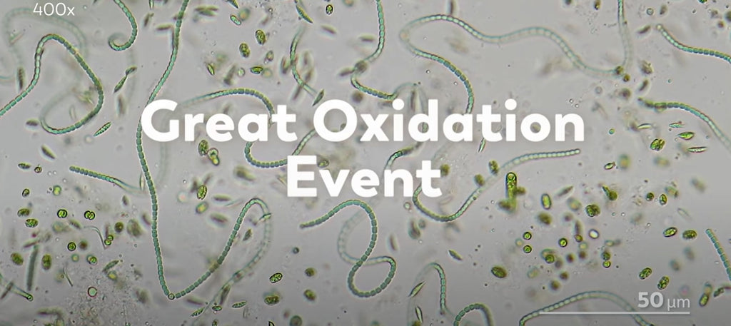 THE GREAT OXIDATION EVENT