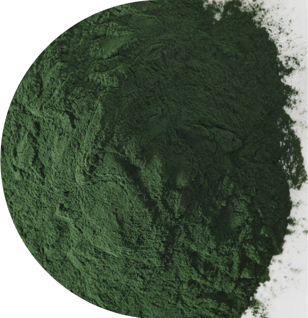 image 194.png__PID:23824558-9a87-4bbb-85c4-81b325ad6d9e
